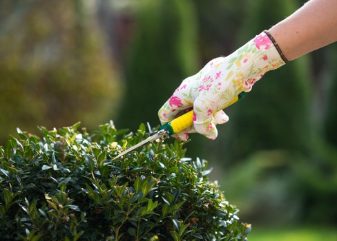 Professional gardening services in Cranford for a well-kept residential garden