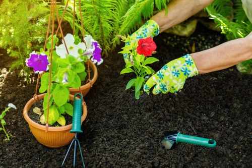 Tree surgery in Cranford for healthy and safe garden trees