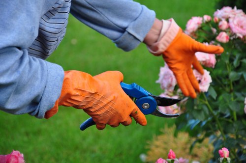Safe gardening risk assessment in progress