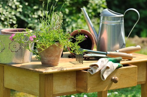Professional garden upkeep in a Cranford property