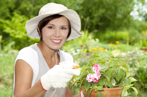 Regular gardening maintenance in Cranford for a clean and attractive outdoor space