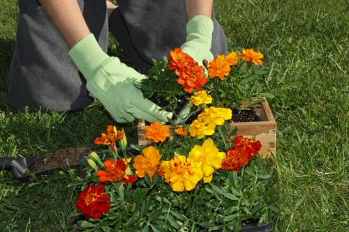 Internal reporting channel and safeguarding process for Gardeners Cranford