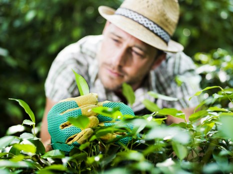 Free garden quote policy for Cranford homes and busy locations
