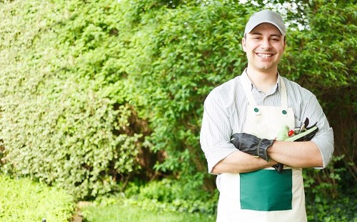 Summer lawn care in Cranford protecting grass from heat and drought