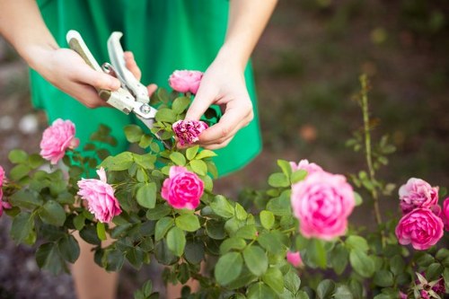 Gardening service issue being assessed carefully