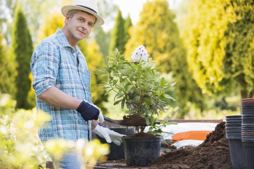 Safe and skilled tree surgery work in Cranford