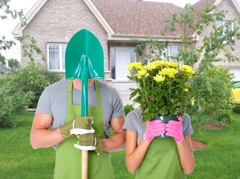 Tree surgeon providing maintenance services in Cranford