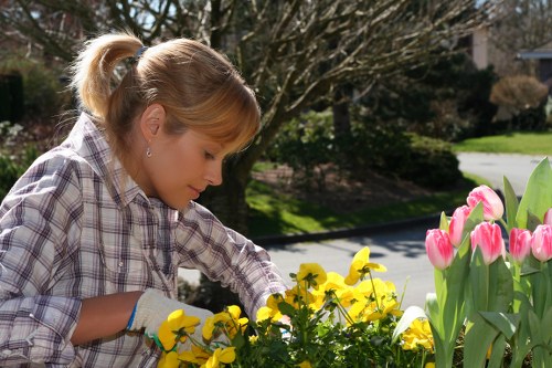 Safe and professional gardening service in Cranford with trained staff