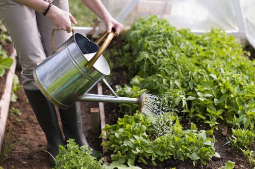 A healthy lawn cared for by Cranford gardeners