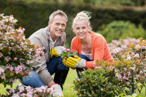 Backyard landscaping in Cranford with patio and greenery